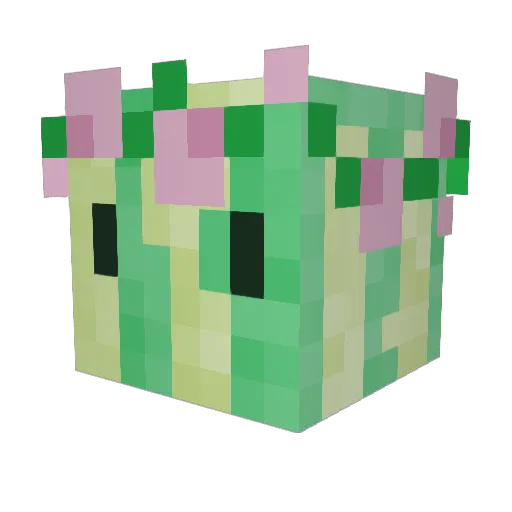 MrPuddingDreams Minecraft avatar head, 3D render