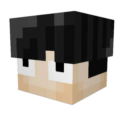 MrPugMan7 Minecraft avatar head, 3D render