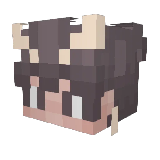 MrPurky Minecraft avatar head, 3D render