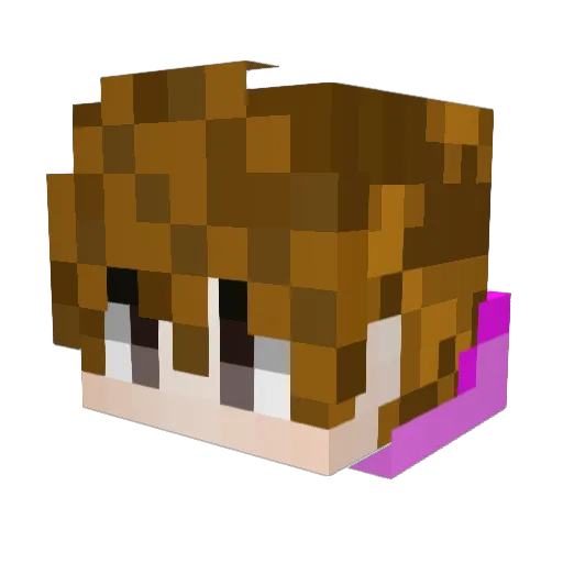 MrRacc00n Minecraft avatar head, 3D render