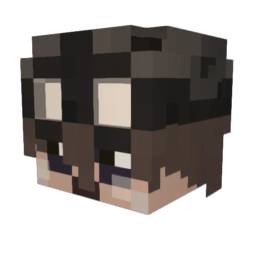 MrRacgoon Minecraft avatar head, 3D render