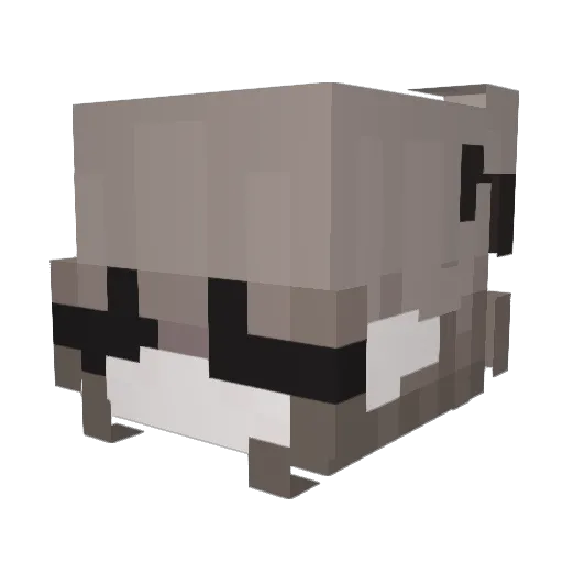 MrRadosevich Minecraft avatar head, 3D render