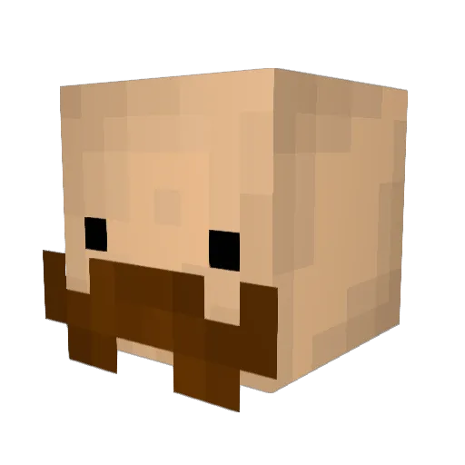 MrRage_Quit Minecraft avatar head, 3D render