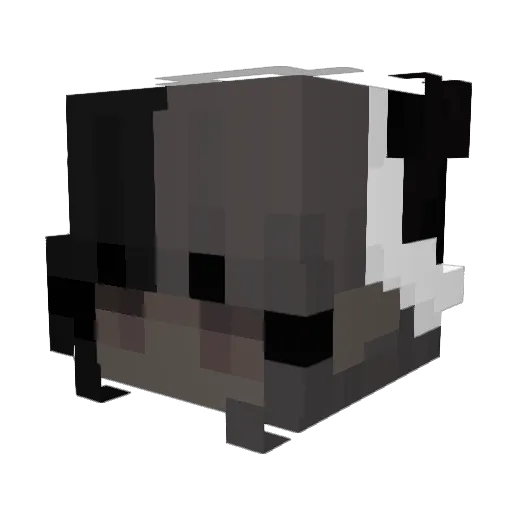MrRainFade Minecraft avatar head, 3D render