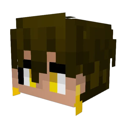 MrRaindropDa Minecraft avatar head, 3D render