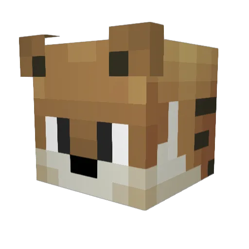 MrRayzzen Minecraft avatar head, 3D render