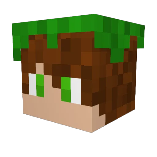 MrRickuhrtt Minecraft avatar head, 3D render