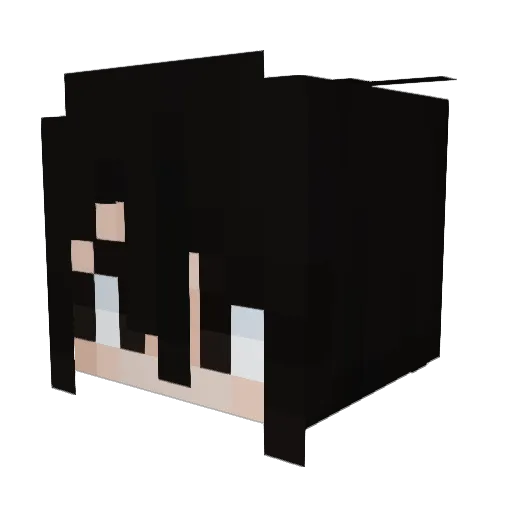 MrRiddlin Minecraft avatar head, 3D render
