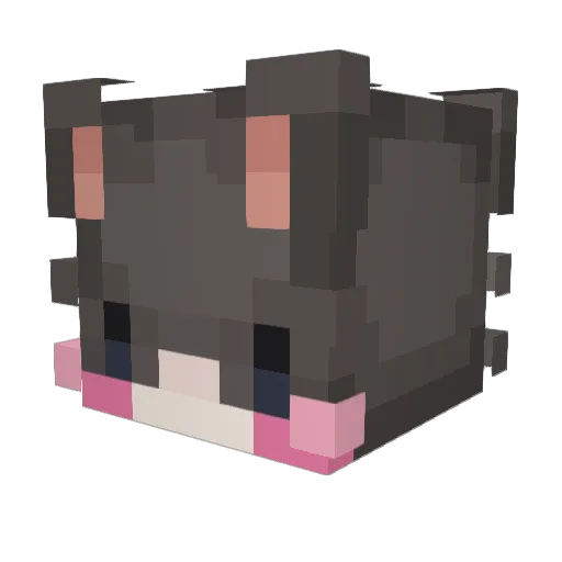 MrRider00 Minecraft avatar head, 3D render