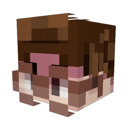 MrRigawa Minecraft avatar head, 3D render