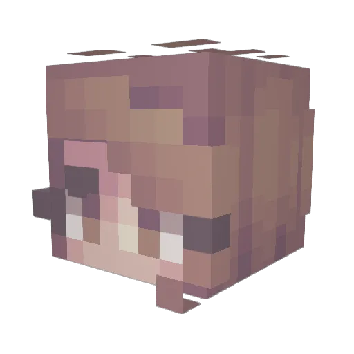 MrRobot01 Minecraft avatar head, 3D render