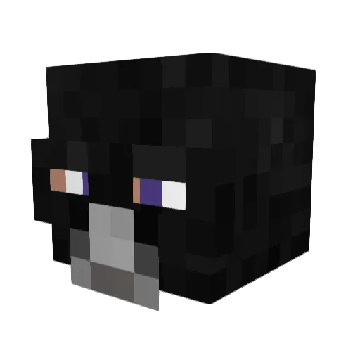 MrRobot2 Minecraft avatar head, 3D render