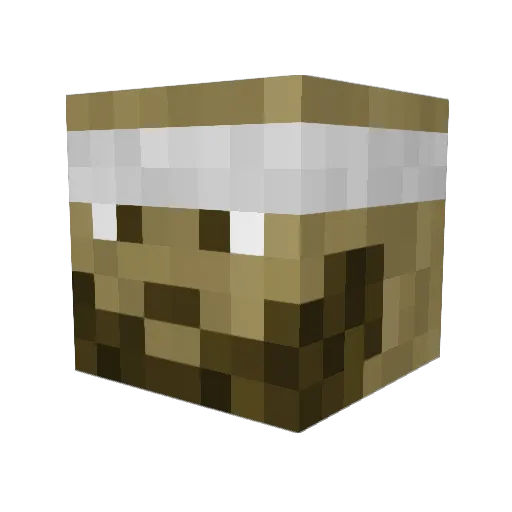 MrRopezz Minecraft avatar head, 3D render