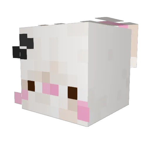 MrRubentuben Minecraft avatar head, 3D render