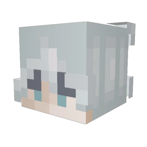 MrS1mp Minecraft avatar head, 3D render