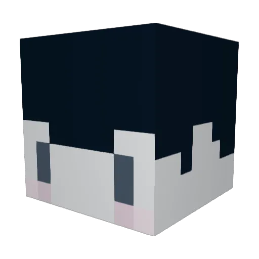 MrSabio Minecraft avatar head, 3D render