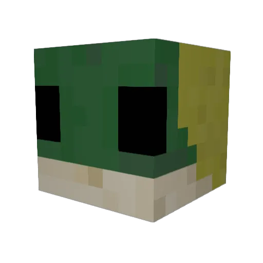 MrSalmon523 Minecraft avatar head, 3D render