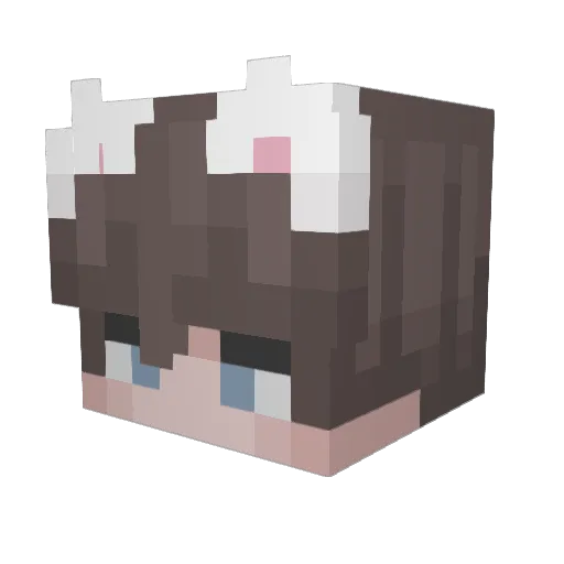 MrSalmonX Minecraft avatar head, 3D render