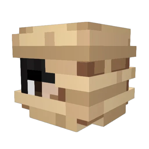 MrSam0 Minecraft avatar head, 3D render