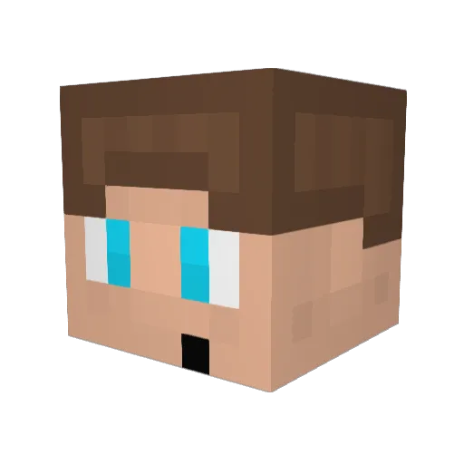 MrSboge Minecraft avatar head, 3D render