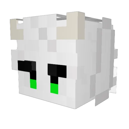 MrSchnoober Minecraft avatar head, 3D render