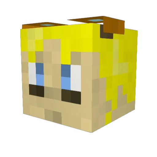 MrSeaTurtle Minecraft avatar head, 3D render