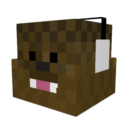 MrShadyyy Minecraft avatar head, 3D render