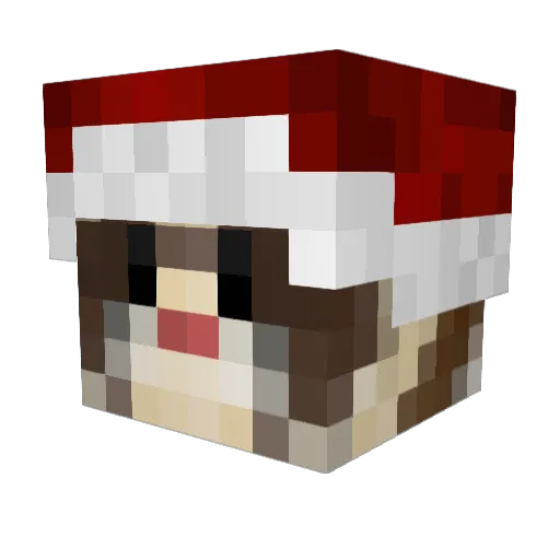MrShoneyB Minecraft avatar head, 3D render