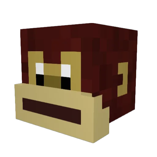 MrShoop1798 Minecraft avatar head, 3D render