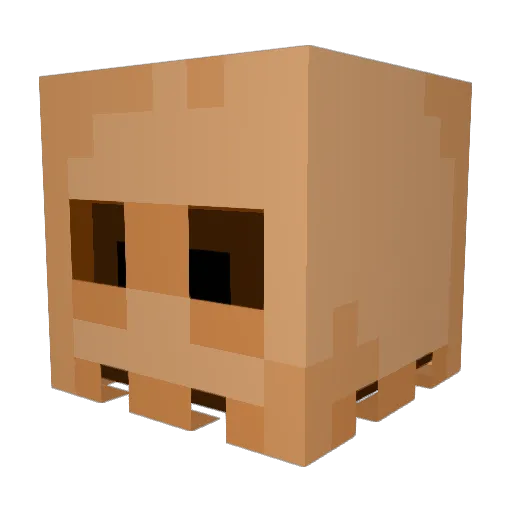 MrShwoo Minecraft avatar head, 3D render