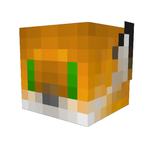MrShyFox Minecraft avatar head, 3D render