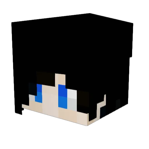 MrSidelinesii Minecraft avatar head, 3D render