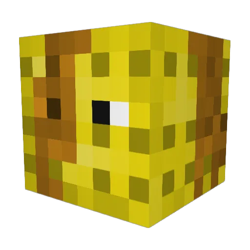 MrSister_Fister Minecraft avatar head, 3D render
