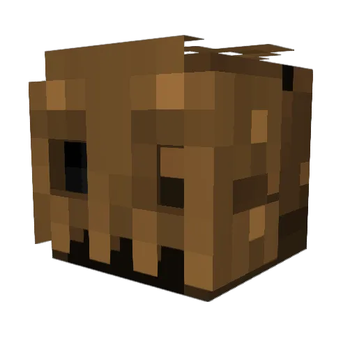 MrSketch1230 Minecraft avatar head, 3D render