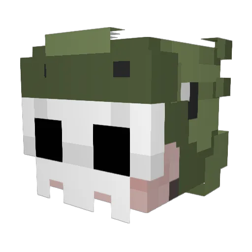 MrSkully09 Minecraft avatar head, 3D render