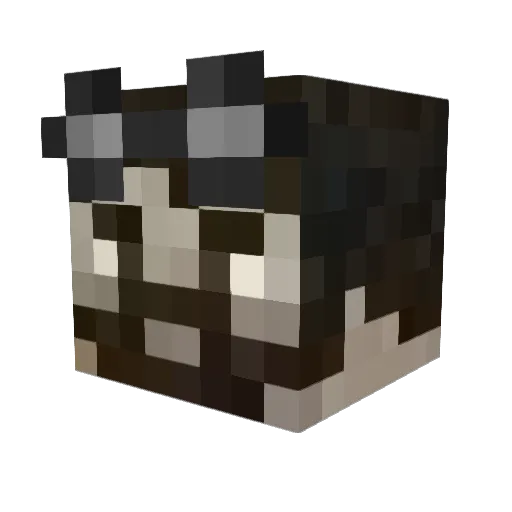MrSleepSheep Minecraft avatar head, 3D render