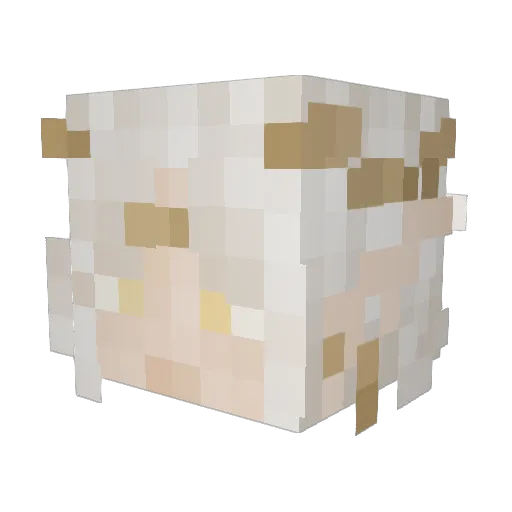 MrSniffThatAhh Minecraft avatar head, 3D render
