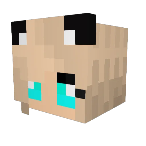 MrSnipzZ14 Minecraft avatar head, 3D render