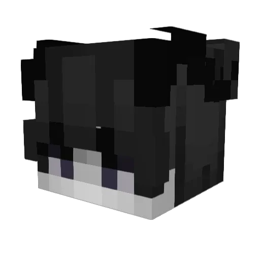 MrSnizzle5 Minecraft avatar head, 3D render