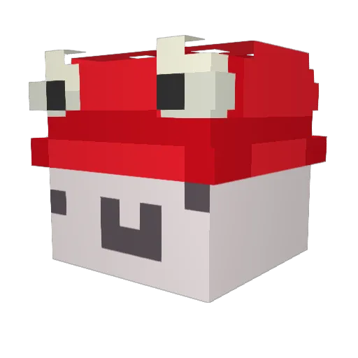 MrSocksMC Minecraft avatar head, 3D render