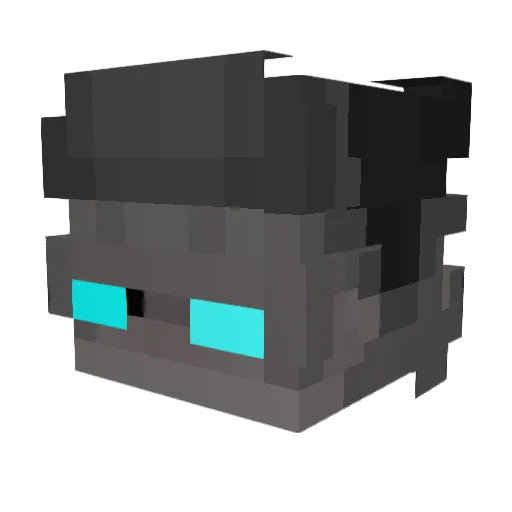 MrSoleimaniYT Minecraft avatar head, 3D render