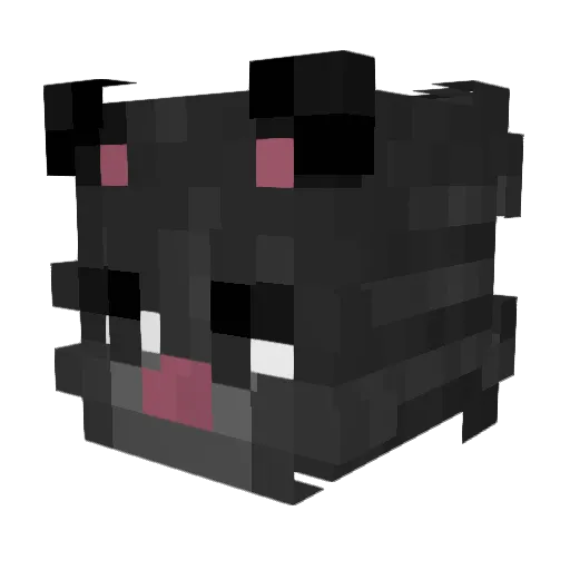 MrSosister0 Minecraft avatar head, 3D render