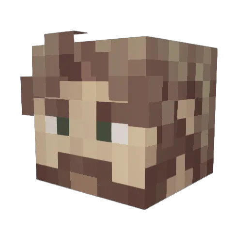 MrSpaceCosmos Minecraft avatar head, 3D render