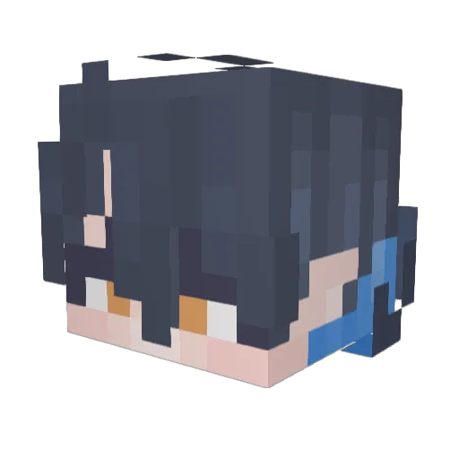 MrSpaceGoose Minecraft avatar head, 3D render