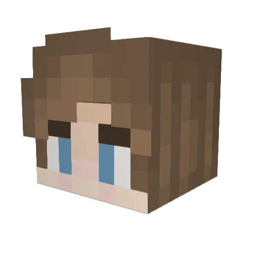 MrSpoons9855 Minecraft avatar head, 3D render