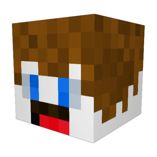 MrSquareEyes Minecraft avatar head, 3D render