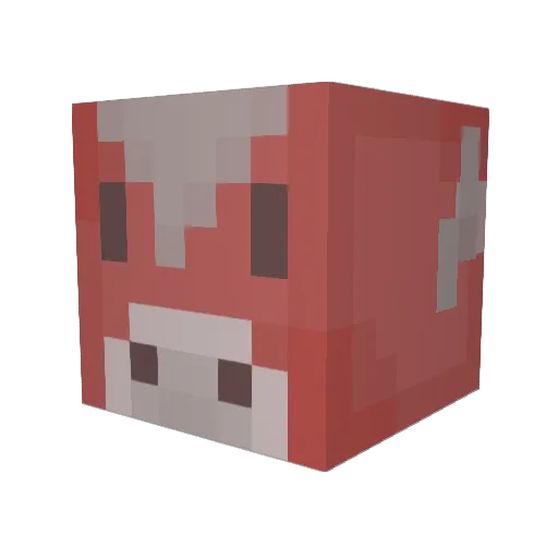 MrSroomy Minecraft avatar head, 3D render