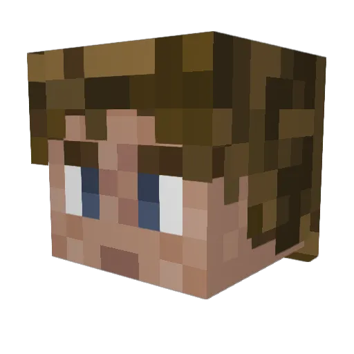 MrStany Minecraft avatar head, 3D render