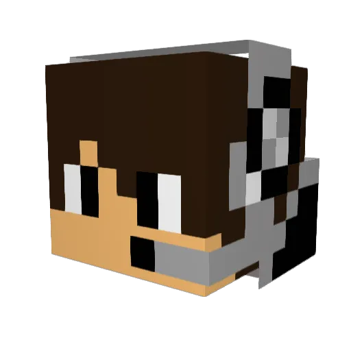MrStar4e Minecraft avatar head, 3D render