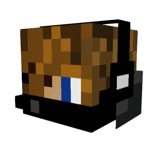 MrStealYoShit Minecraft avatar head, 3D render